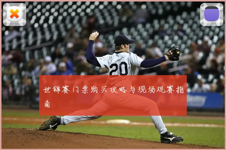 世锦赛门票购买攻略与现场观赛指南